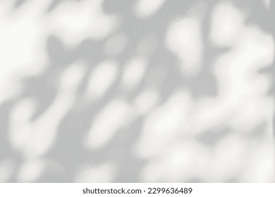 Light and shadow of leaf abstract grey background. Natural shadows and sunshine diagonal refraction on white concrete wall texture. Shadow overlay effect for foliage mockup, banner graphic layout - Shutterstock ID 2299636489