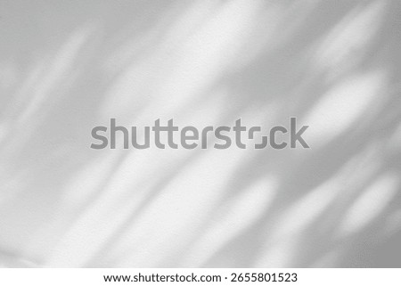 Light and shadow of leaf abstract grey background. Natural shadows and sunshine diagonal refraction on white concrete wall texture. Shadow overlay effect for foliage mockup, banner graphic layout
