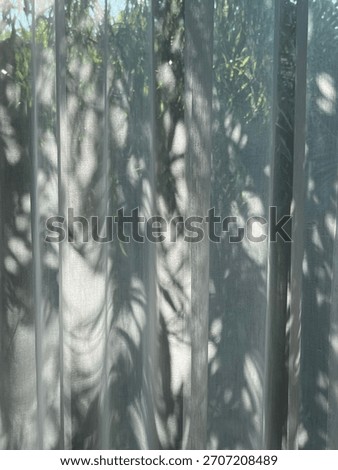 The light and shadow of leaf in the garden reflection on the white 
certain 