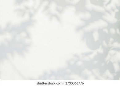 702,523 Leaf shadow Images, Stock Photos & Vectors | Shutterstock