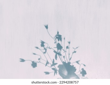 Light and shadow on white wooden surface. - Powered by Shutterstock