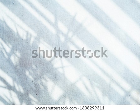 Light and shadow from outside through glass window into the room on concrete wall. Abstract cement texture and ackground.