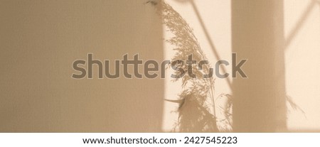 Light and shadow sunset, floral pattern. Vintage textile background. Abstract backdrop with crossed lines shadows. Wabi sabi style aestetics. 