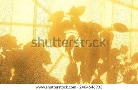 Light and shadow sunset on old retro beige fabric texture.  vintage textile background. Abstract backdrop with floral pattern and crossed lines shadows. Wabi sabi style aestetics