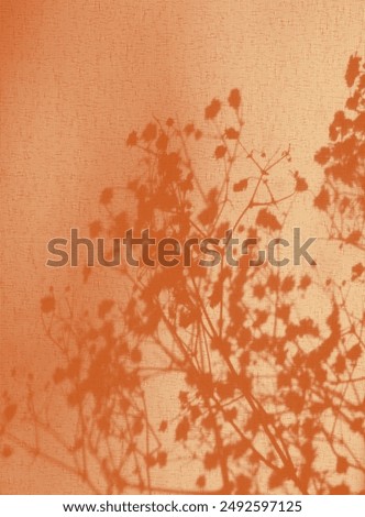 Light and shadow sunset on old retro fabric texture. Vintage textile background. Abstract backdrop with floral pattern and crossed lines shadows. Wabi sabi style aesthetics