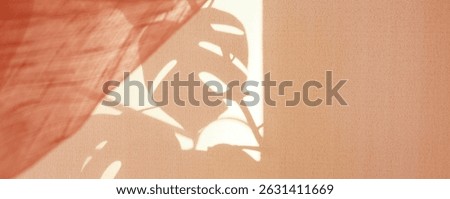 Light and shadow sunset on retro fabric texture, pink color. Vintage textile background. Abstract backdrop with floral pattern, overlay, transparent. . Wabi sabi style aesthetics. Monstera liana.