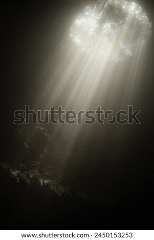 Light shining though a dark cave.