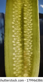 Light Shining Through Cucumber Slice