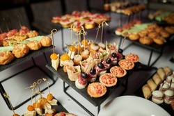 Light Snacks For The Holiday, Catering. Various Light Snacks. Catering Plate. Assortment Of Sandwiches On The Buffet Table. Meat, Fish, Vegetable Canapes.