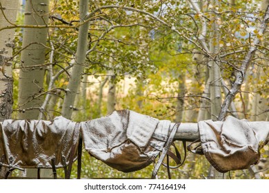 Light Snow On Horse Saddle Bags On Wood Fence; Autumn Aspens In Wyoming