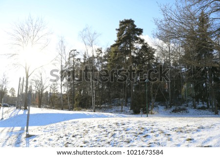 Light and snowlandscape