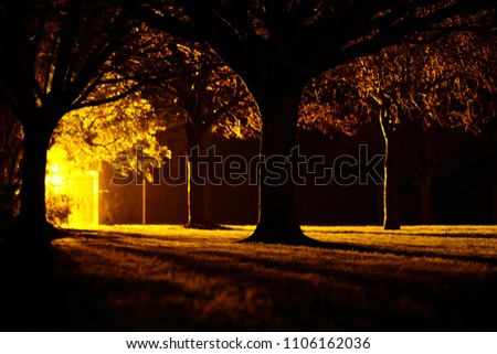 Similar – Herbstspaziergang mit Hund