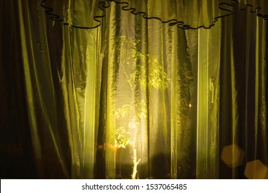 Light From Street Outdoor Lamp Through Window Curtain In Bedroom