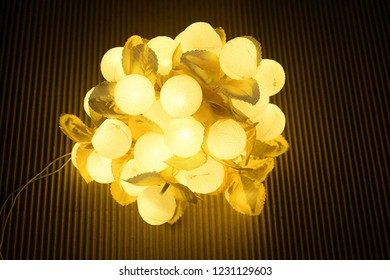 Light string bulb glowing in dark night