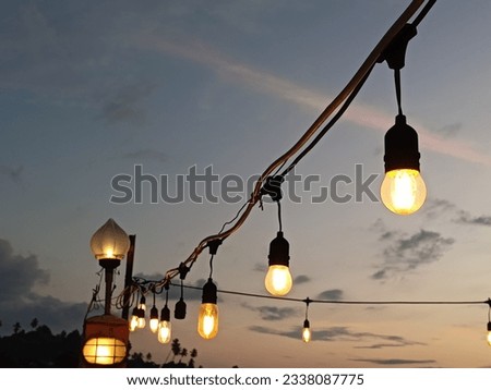 light string lit and hanging in a garden