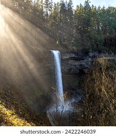 Light Sun Rays streaming through forest trees and mist from a waterfall. No data licensing.