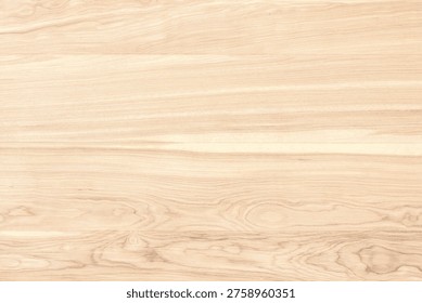 light table made of natural maple. wood texture as background