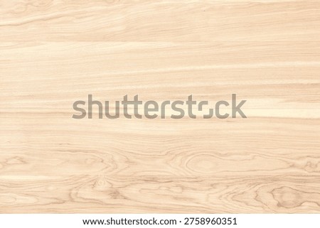 light table made of natural maple. wood texture as background