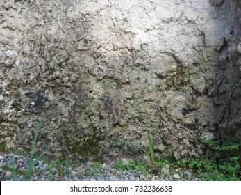 Light textured plaster as a background