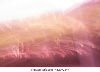light trails