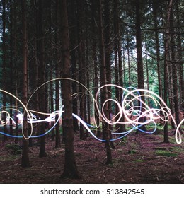 Light Trails In The Forest