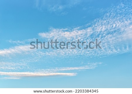 Light translucent cirrocumulus clouds high in the blue sky. High clouds of rarefied altitudes. Weather forecast and meteorology concept. Background of sunny summer cloudscape. Full frame. Copy space.