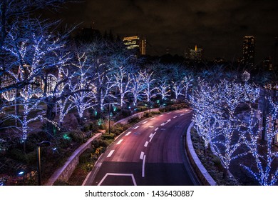 Light Trees Roads Japan Night Stock Photo 1436430887 | Shutterstock