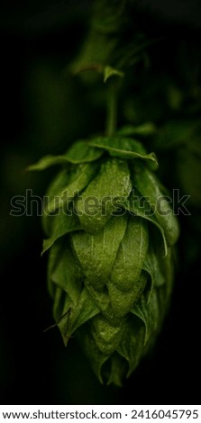 Light vivid green plant background with colorful leaves exotic nature view