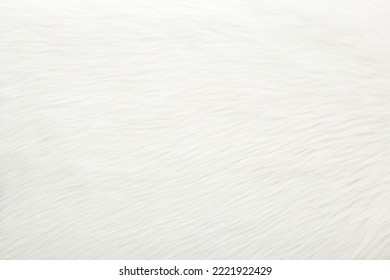 Fondo blanco claro piel