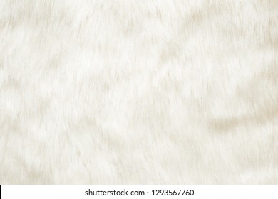 Light, white, furry coat background. Empty place for text, quote or sayings. Top view. Closeup.