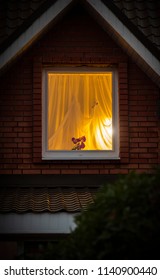 Light From The Window Of The House In The Dark Evening Time.