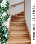 Light wooden staircase go up in the house and the green vertical plant. White walls. Comfy house Vertical photo. Inside Scandinavian hybrid style