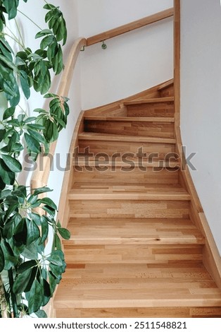 Similar – Image, Stock Photo Wooden staircase in a modern home interior