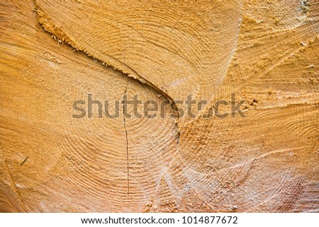 Similar – Luftaufnahme der blauen Meereswellen und des wunderschönen Sandstrandes in Portugal.