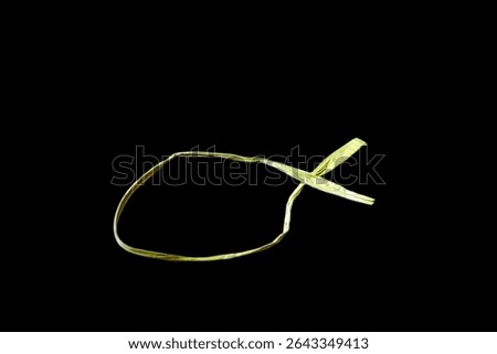 Light yellow raffia rope forms a knot, black background.