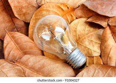 lightbulb on dry leaf
