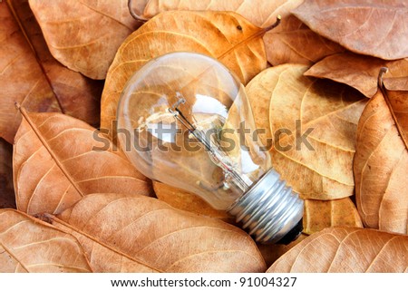 lightbulb on dry leaf