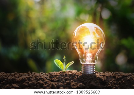 lightbulb with small plant on soil and sunshine. concept saving energy in nature