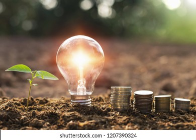 Lightbulb With Small Tree And Money Stack On Soil In Nature Sunset Background. Concept Saving Energy 