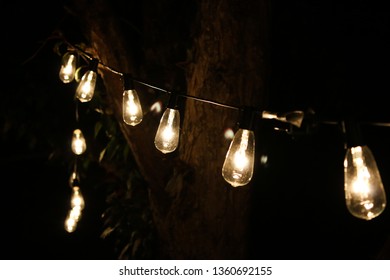 Lightbulb string lights hanging across trees