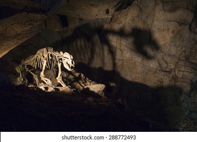 Lighted cave bear skeleton.