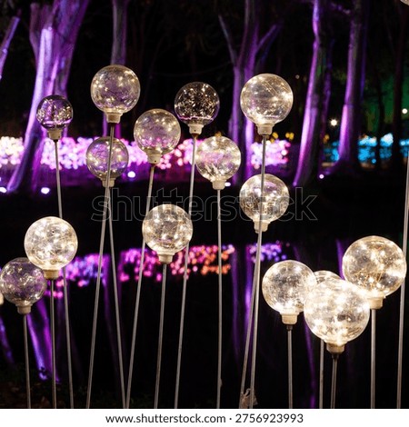Lighted orb installation. Transparent globes filled with bulbs rise from the garden on metal rods. Nighttime park trees glow purple and reflect in still pond water.