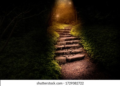 Lighted Stone Steps Stairs In A Dark Mystical Mysterious Forest - Shutterstock ID 1729382722