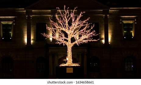 a lighted tree in front of a building 
