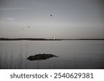 Lighthouse across calm water with tall marsh grass in the foreground, under a soft sky at dusk.