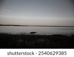 Lighthouse across calm water with tall marsh grass in the foreground, under a soft sky at dusk.