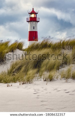 Lighthouse and beach grass on a windy day