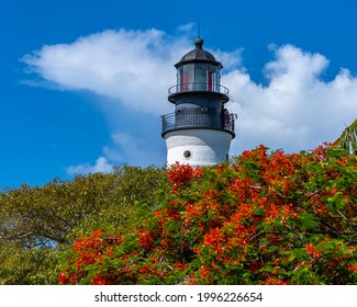 215 Key west florida view from lighthouse Images, Stock Photos ...