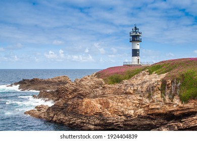 lighthouse on the lush banks of the ocean