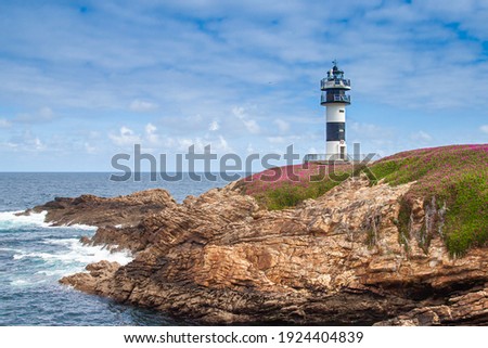 lighthouse on the lush banks of the ocean